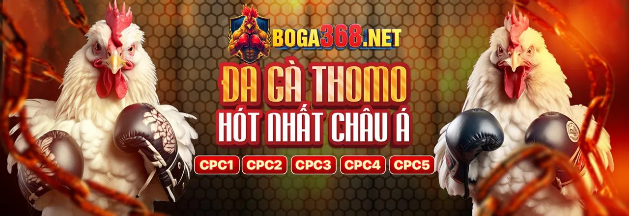 Đội ngũ hỗ trợ khách hàng chuyên nghiệp của b29 app sẵn sàng phục vụ 24/7